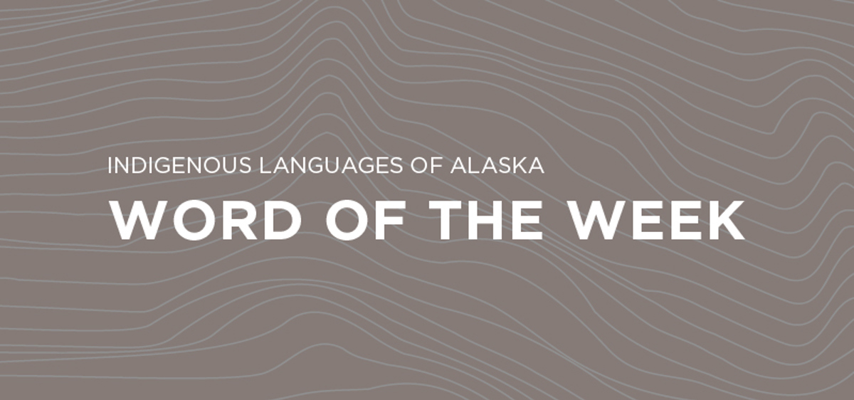 Dena'ina Word of the Week - The Anchorage Museum
