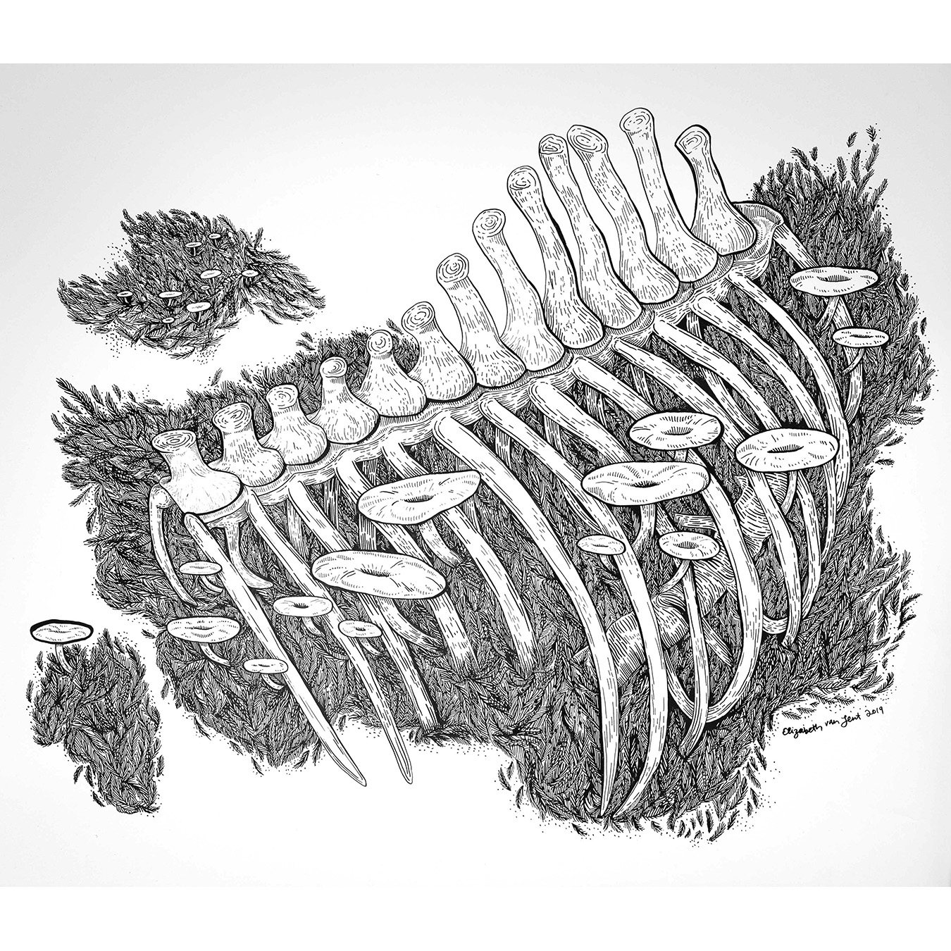 Elizabeth Lent Tattoo Drawing
