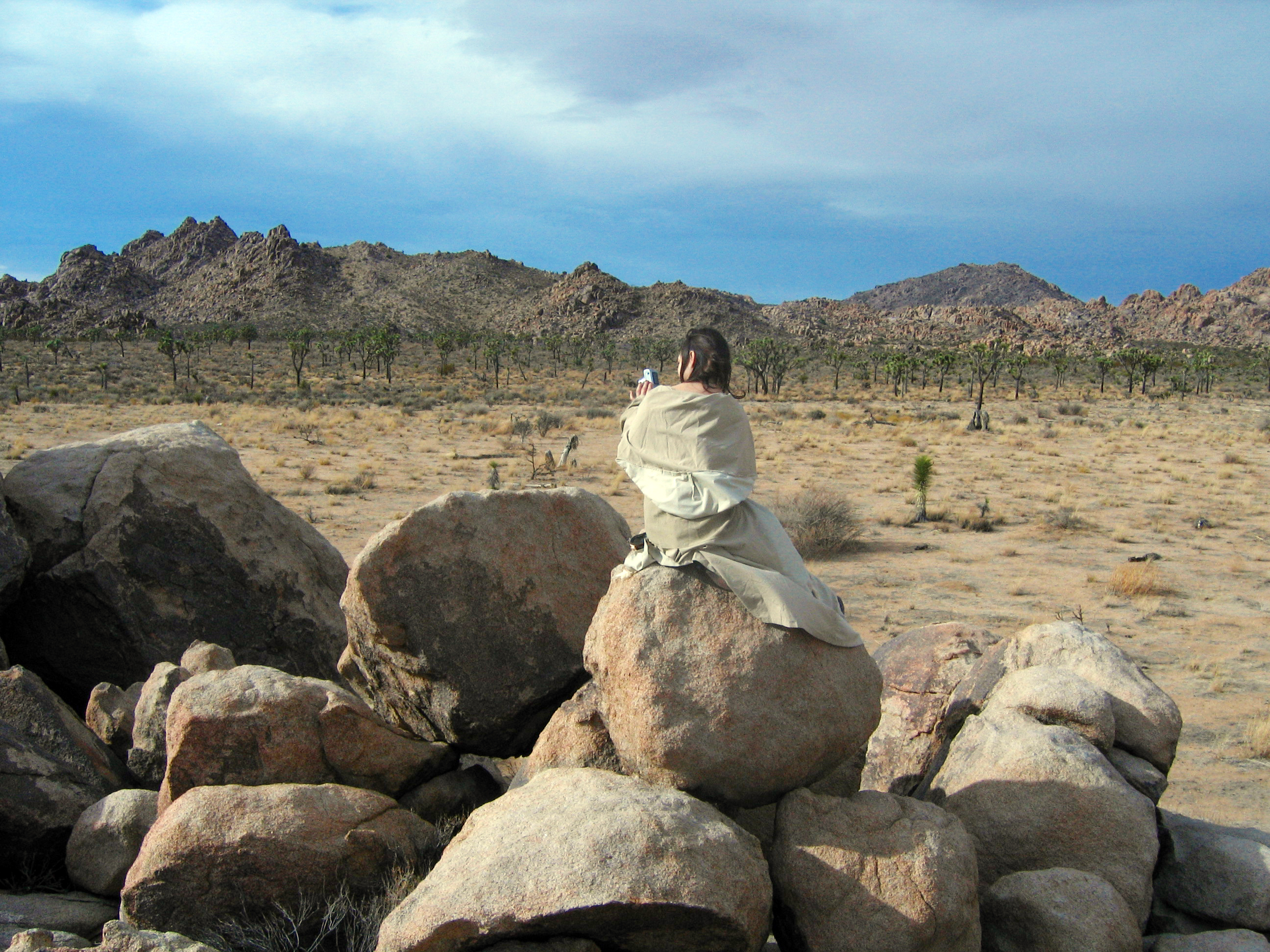Desert Experiment