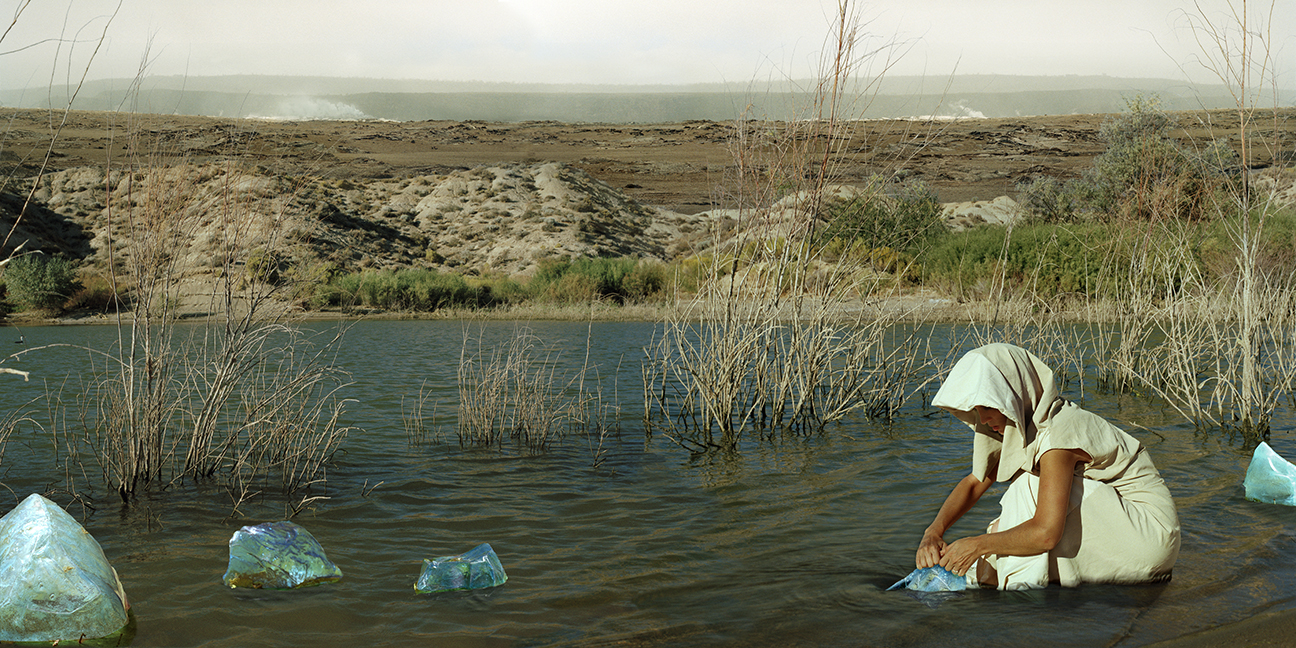 wetlands