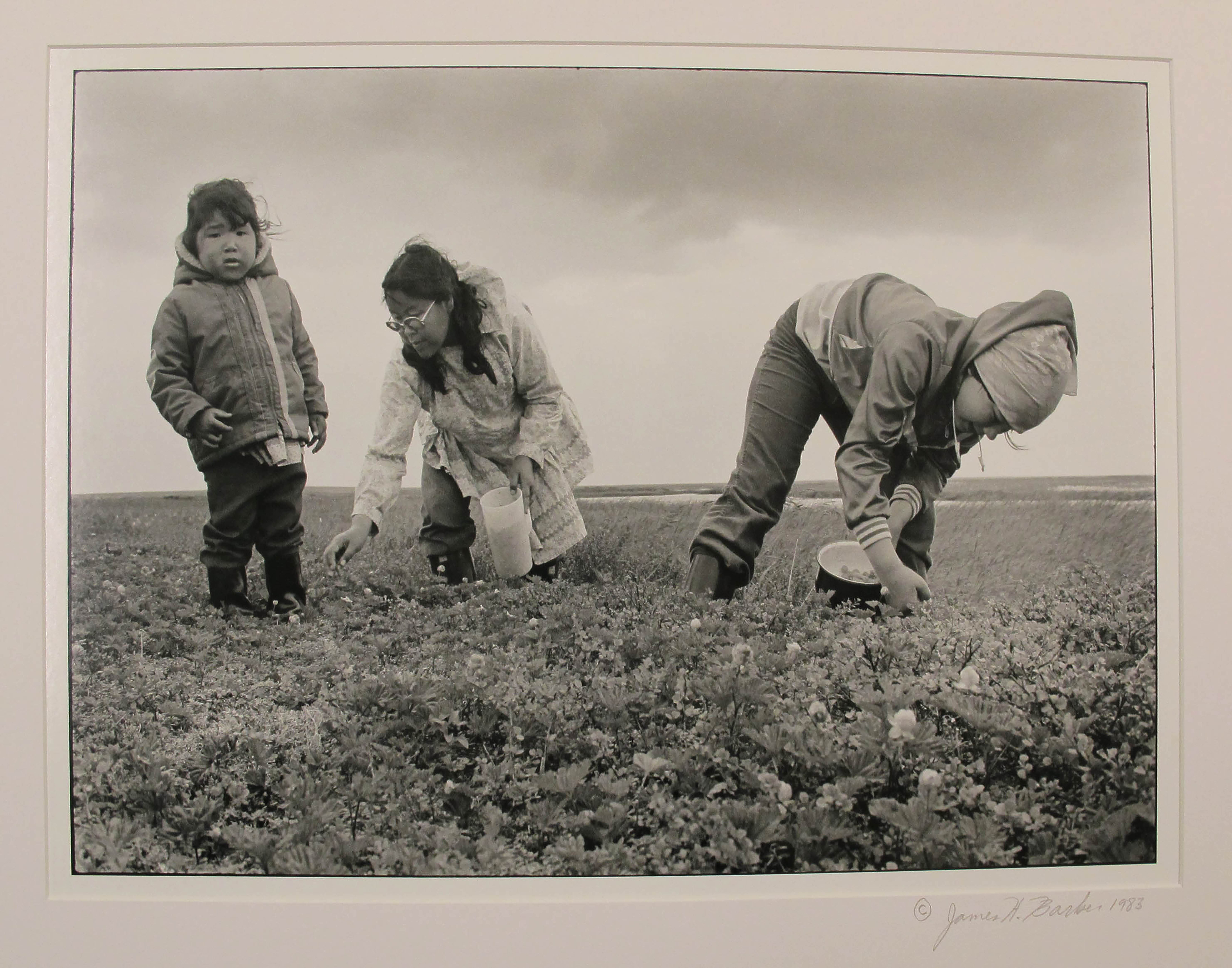 Untitled (Helen, Maggie and Shirley Wasuli pick salmonberries, Kotlik), 1983