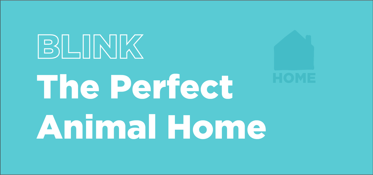 BLINK at Home: The Perfect Animal Home - The Anchorage Museum