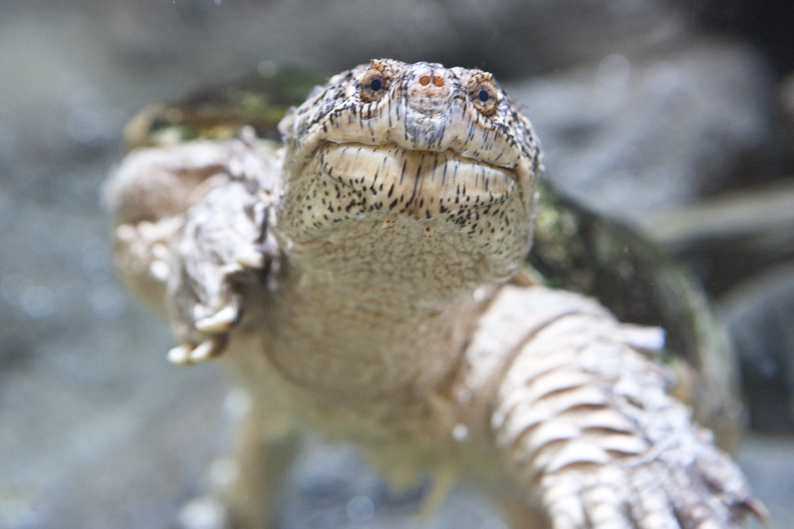 Discovery Center - Life Zone