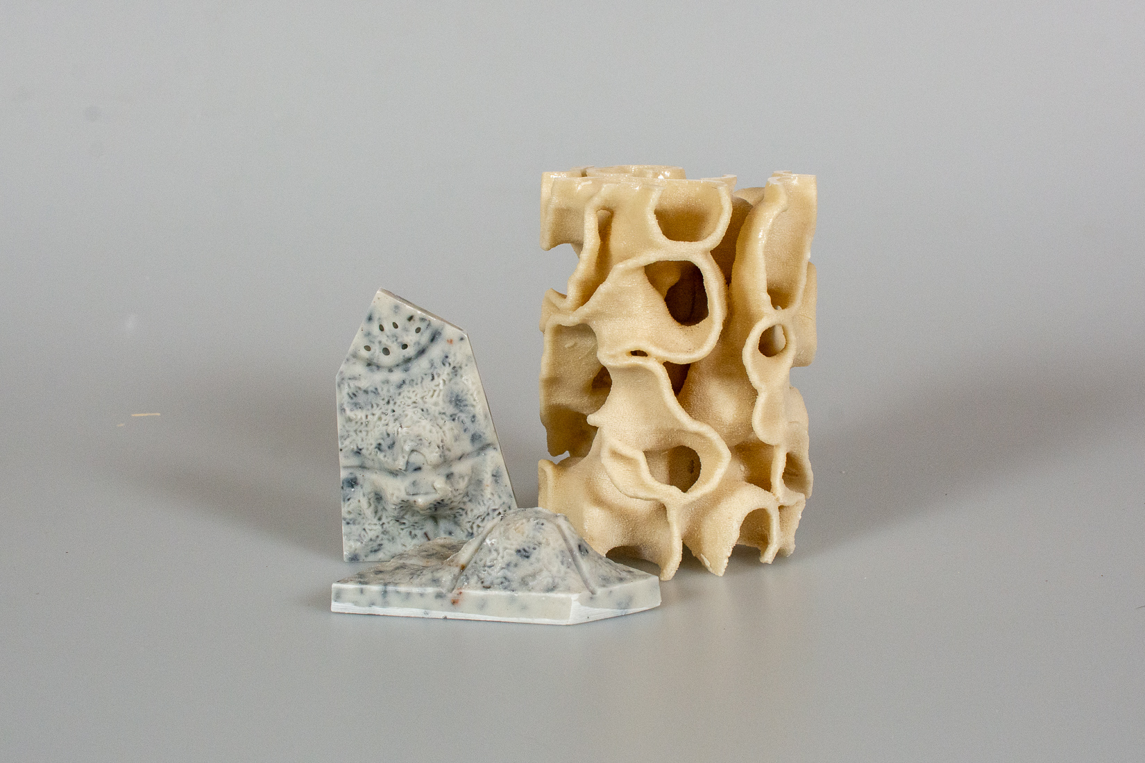 Coral Carbonate and Oyster Tiling