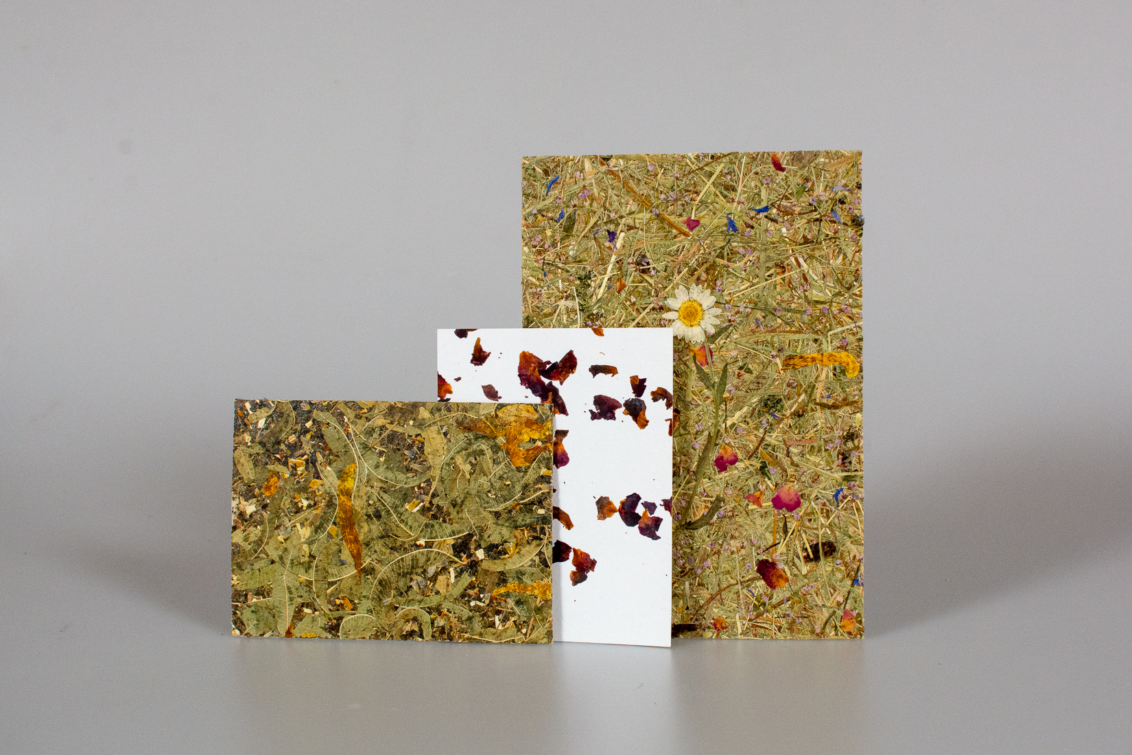 Organoid Surface Coverings