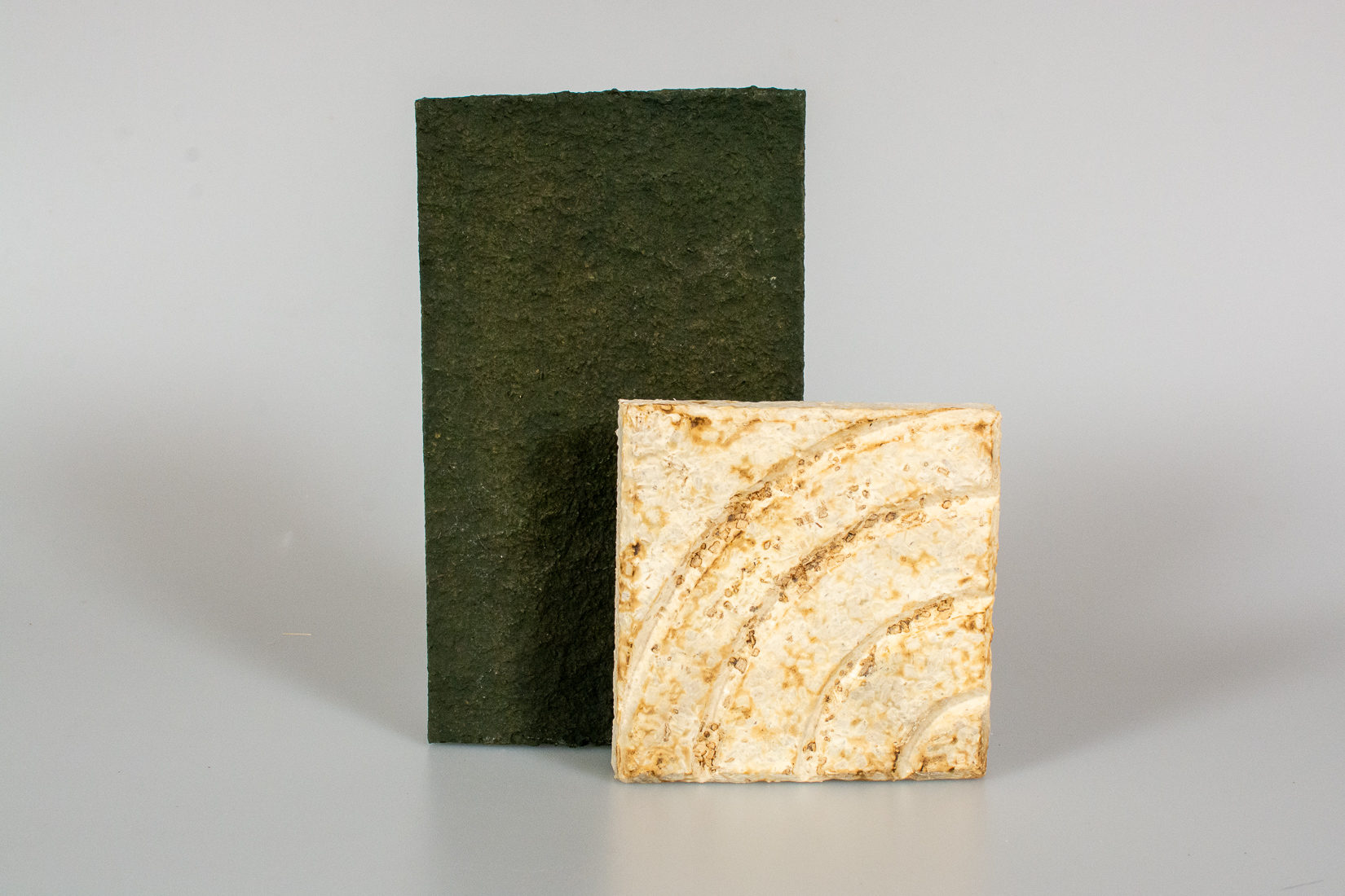 Tŷ Syml Seaweed and Mycelium Products
